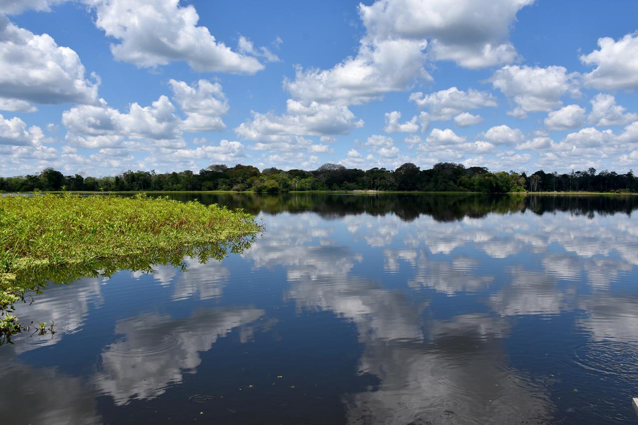 Yaku Amazon Lodge & Expeditions Paraiso Luaran gambar